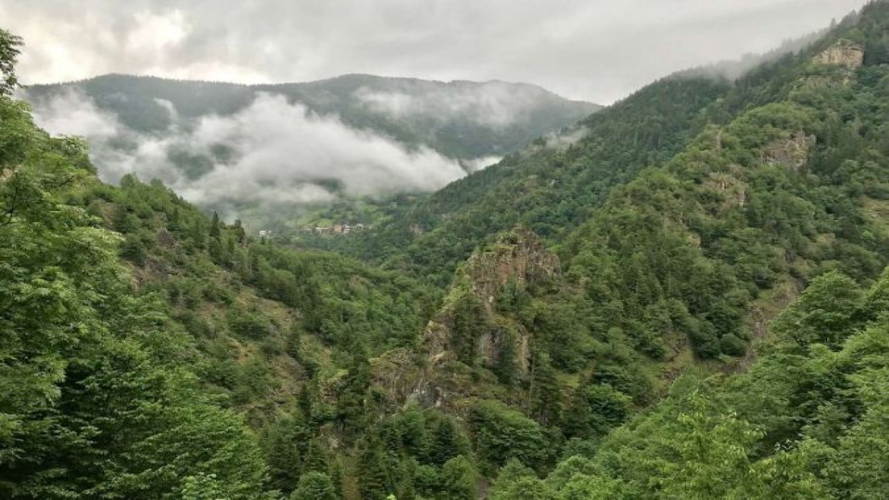 6 il için "orman yangını" uyarısı