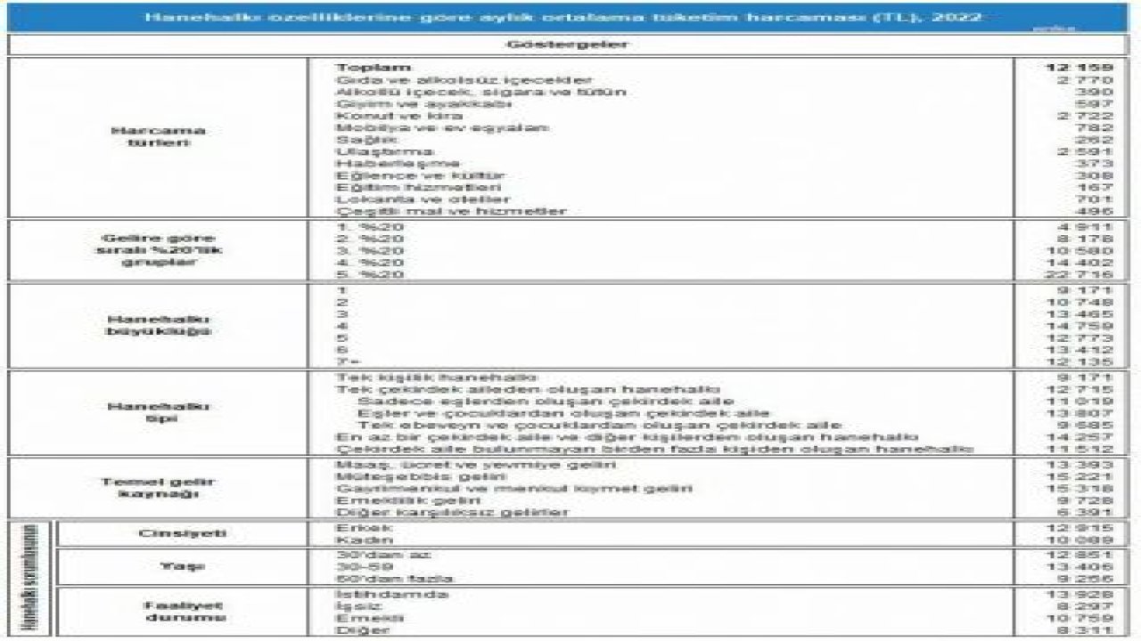 TÜİK: HANE HALKI, 2022'DE EN AZ HARCAMAYI EĞİTİM, SAĞLIK, EĞLENCE VE KÜLTÜRE YAPTI