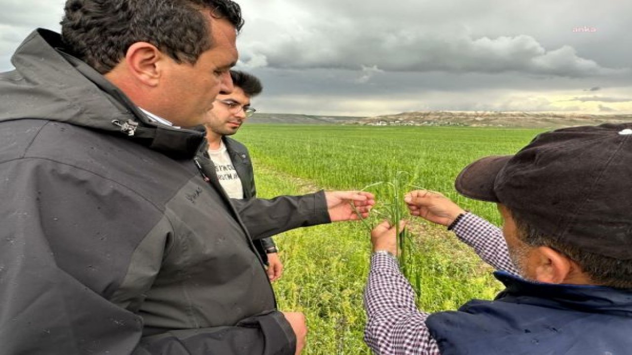 ULAŞ KARASU, SİVAS’TA SEL NEDENİYLE TARIM ARAZİLERİ ZARAR GÖREN ÇİFTÇİLERİN BORÇLARININ 2 YIL FAİZSİZ ERTELENMESİ İÇİN TBMM’YE KANUN TEKLİFİ VERDİ: MADDİ VE MANEVİ ZARAR BÜYÜK”