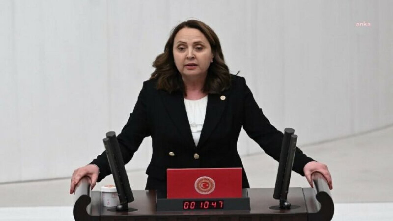 SEMRA DİNÇER: “ORMAN YANGINLARINA KARŞI SÜREKLİLİĞİ OLAN TEDBİRLERİN ALINMASI GEREKİRKEN, ORMAN YANGINLARIYLA MÜCADELE İÇİN AYRILAN BÜTÇE DÜŞÜRÜLÜYOR, BU KABUL EDİLEMEZ”