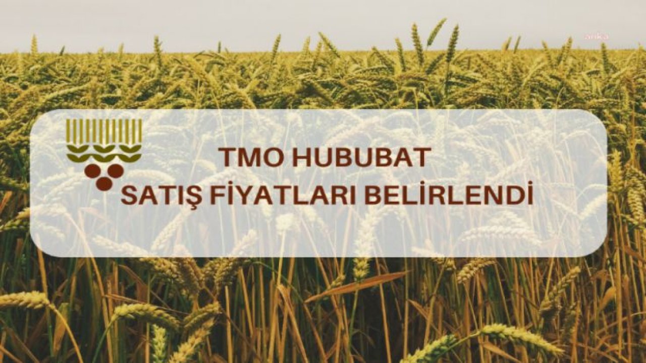 TOPRAK MAHSULLERİ OFİSİ ÇİFTÇİDEN ALACAĞI HUBUBATIN SATIŞ FİYATINI AÇIKLADI