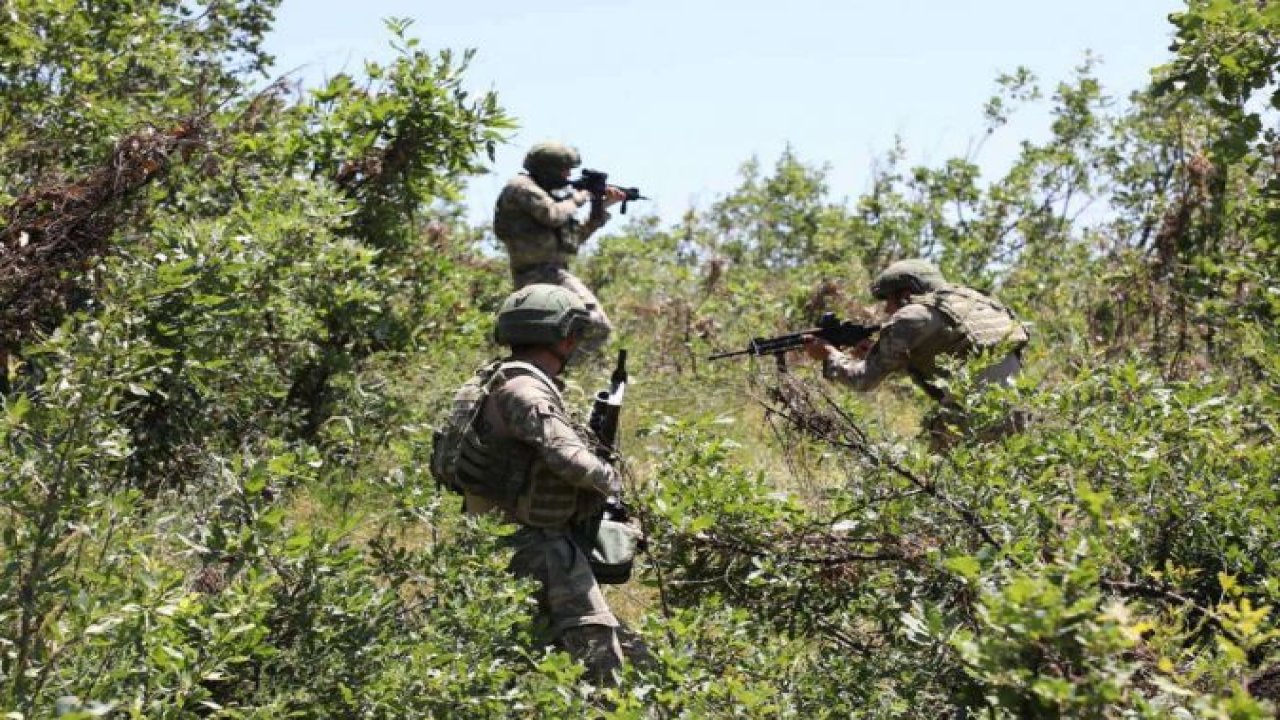 Şırnak'ta 2 PKK elemanı öldürüldü