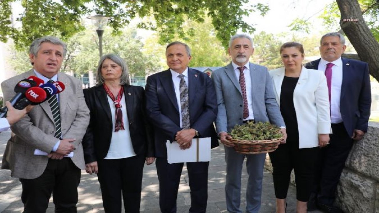 CHP MİLLETVEKİLLERİNDEN ERDOĞAN’IN AÇIKLADIĞI FINDIK FİYATINA TEPKİ… MUSTAFA ADIGÜZEL: “ÜRETİCİYE HAKARETTİR. HÜKÜMET ADINA REZALET, TÜRKİYE ADINA DA İHANETTİR”