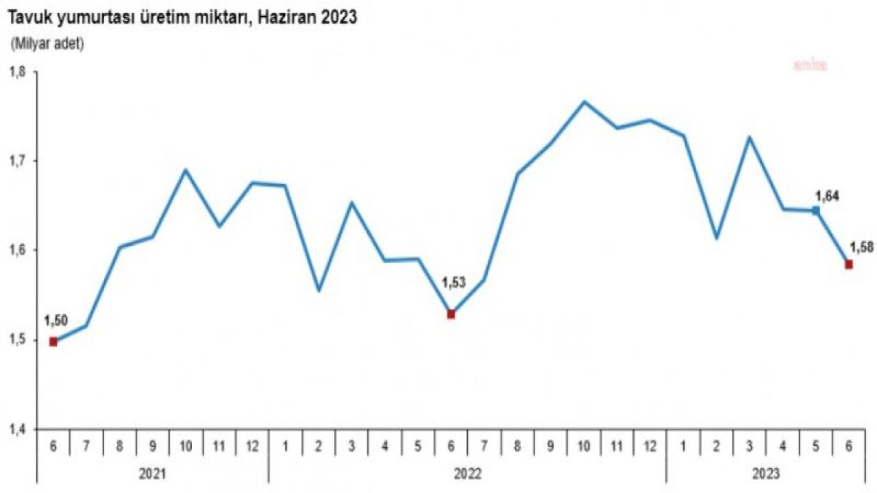 TÜİK: HAZİRANDA TAVUK ETİ ÜRETİMİ YILLIK YÜZDE 19,7 AZALDI