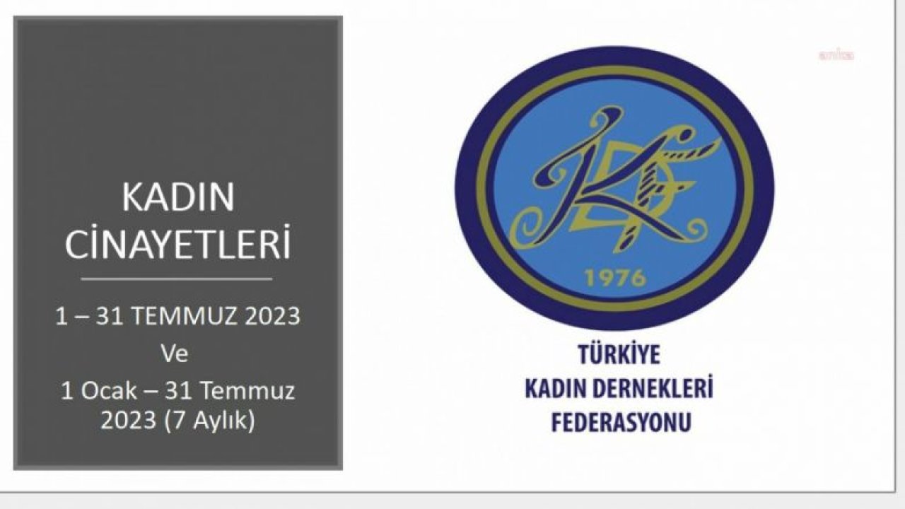 TÜRKİYE KADIN DERNEKLERİ FEDERASYONU'NUN TEMMUZ AYI RAPORU: YILIN İLK 7 AYINDA 227 KADIN ÖLDÜRÜLDÜ