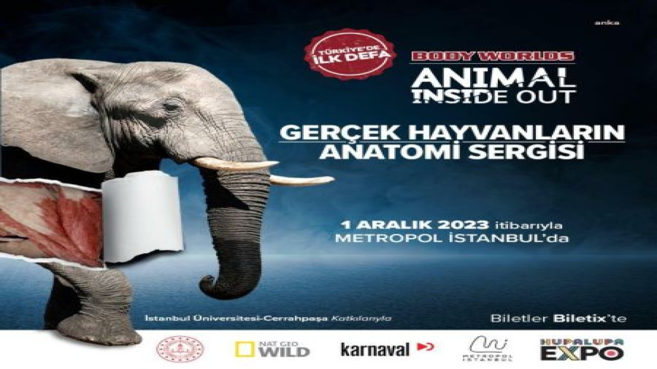 DÜNYACA ÜNLÜ BODY WORLDS ANIMAL INSIDE OUT SERGİSİ TÜRKİYE'YE GELİYOR