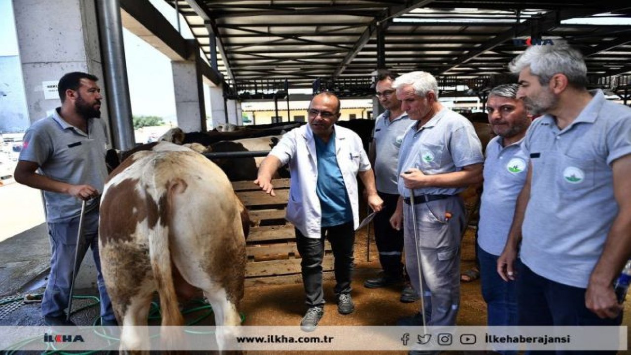 Bursa’da “Kurban Yakalama Timi’ bayrama hazır