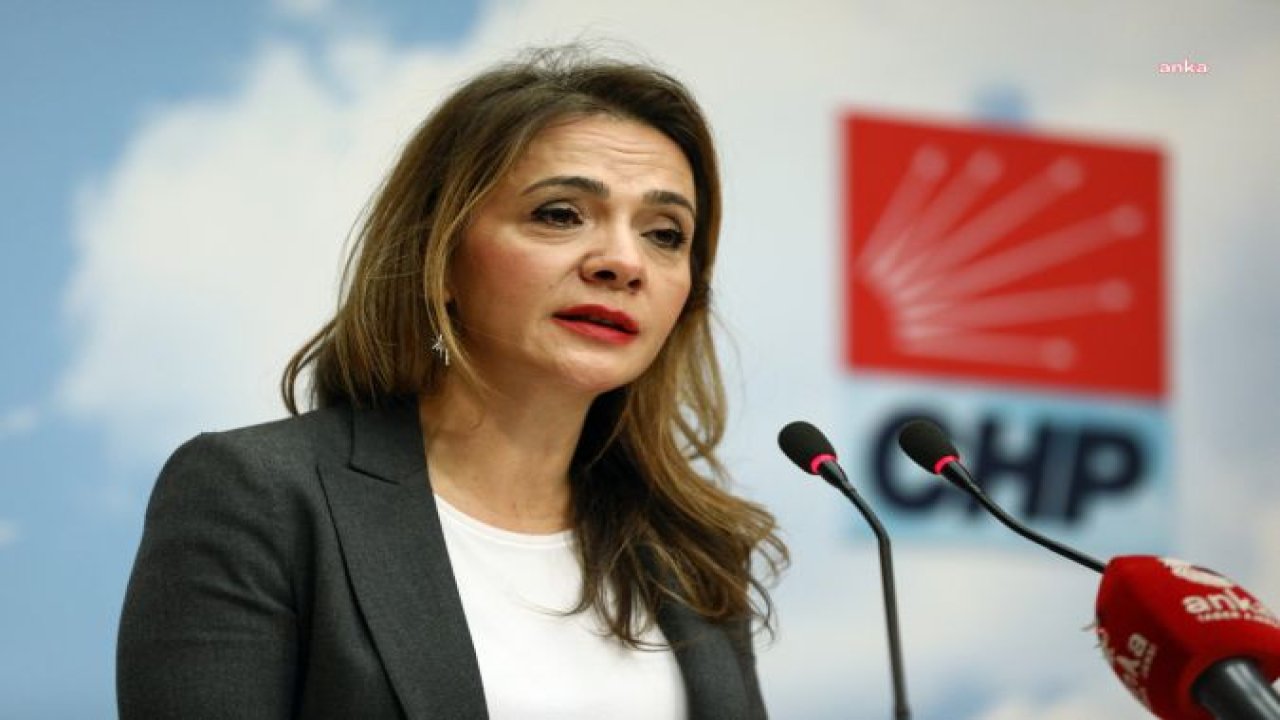 GAMZE AKKUŞ İLGEZDİ: “AYDA 10 BİN 461, GÜNDE 366, SAATTE 15 KADIN SALDIRIYA UĞRADIĞI İÇİN ŞÖNİM’LERE BAŞVURMUŞ"