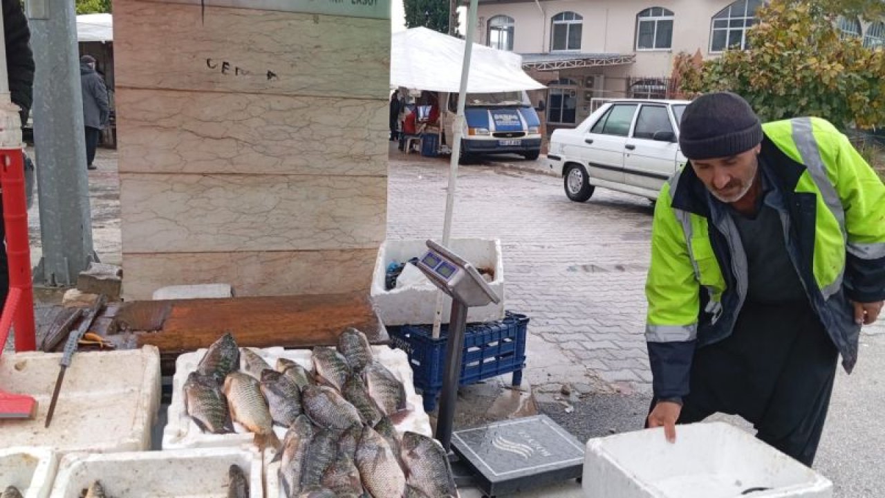 KADİRLİLİ BALIKÇI: "MÜŞTERİ BANA '1 TANE BALIK VER SADECE TADINA BAKACAĞIM’ DİYOR"