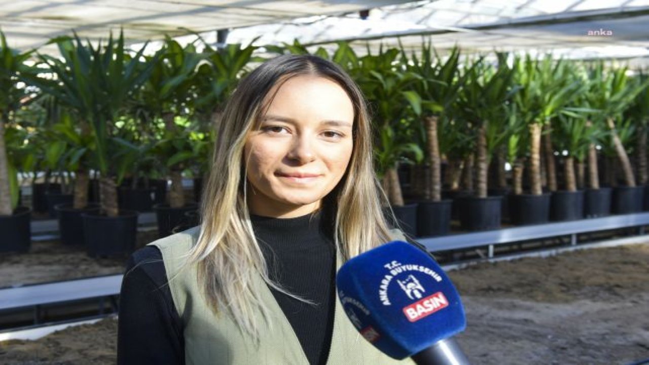 ANKARA’DA İTHAL BİTKİ DÖNEMİ SONA ERDİ, YERLİ ÜRETİCİDEN ALINAN ÇİÇEKLER CADDELERİ SÜSLEDİ