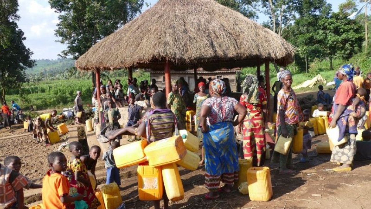 Virunga'dan çarpıcı hayat hikayeleri