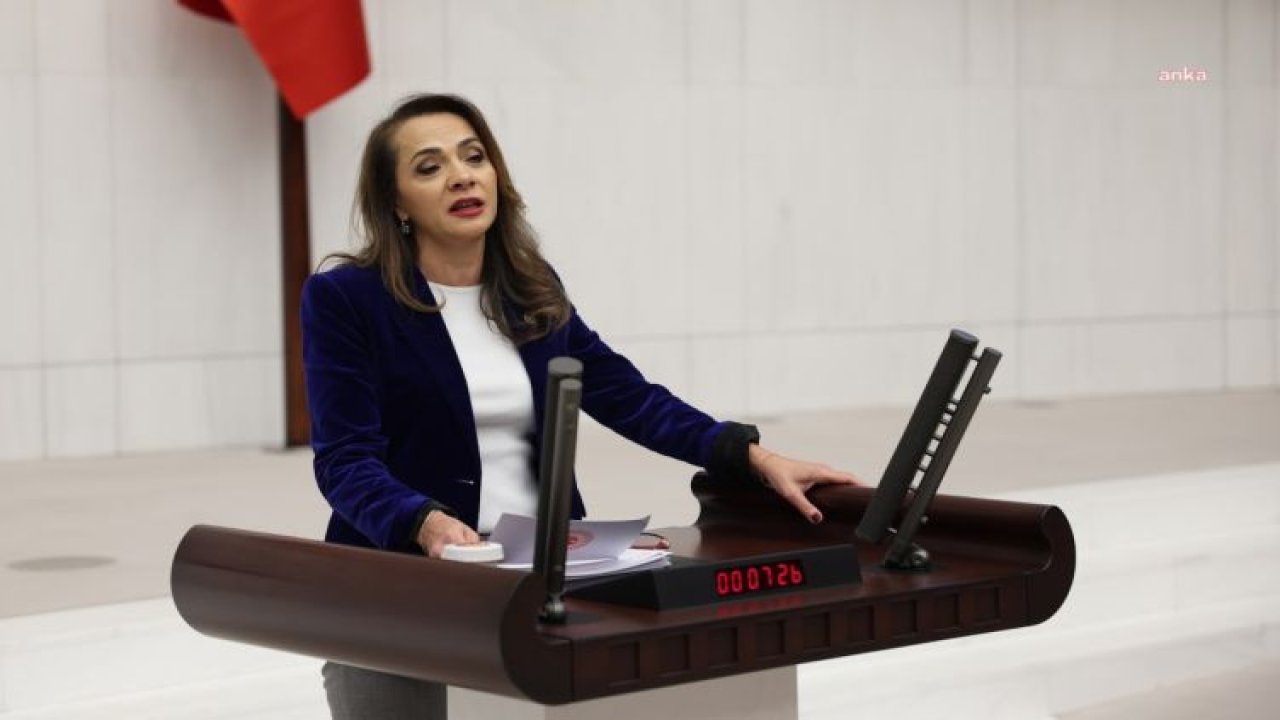 GAMZE AKKUŞ İLGEZDİ: “KANUNU BİR TÜRLÜ GEÇİREMEDİLER. BU GİDİŞLE 2024’E SARKACAK. İKTİDAR EMEKLİSİNE 5 BİN TL DE ÖDEYEMEYECEKSE KAPATIP GİTSİNLER”