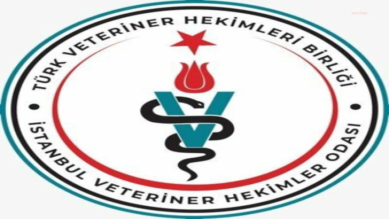 İSTANBUL VETERİNER HEKİMLER ODASI, SOKAK HAYVANLARININ SALDIRILARIYLA İLGİLİ SUÇLU İLAN EDİLMELERİNE TEPKİ GÖSTERDİ