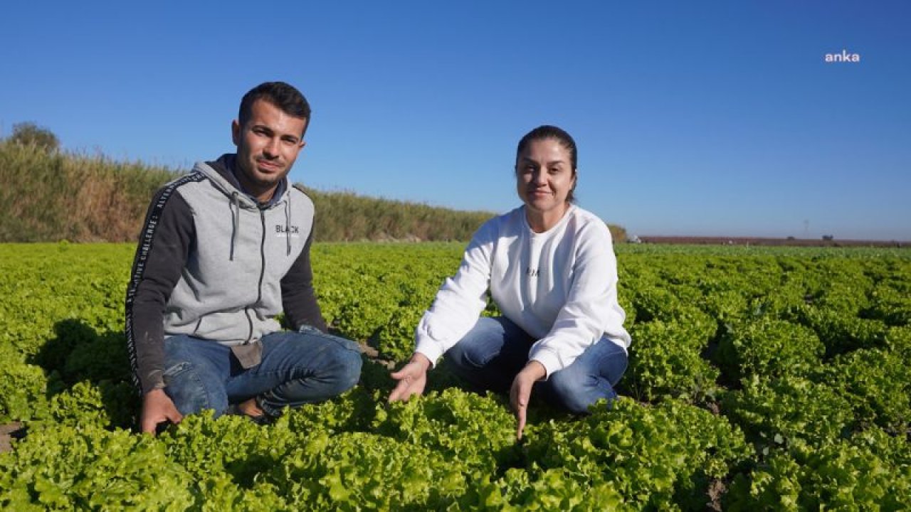 TARSUS BELEDİYESİ, YERLİ TOHUMLARLA TARIMA VE ÇİFTÇİYE CAN VERİYOR