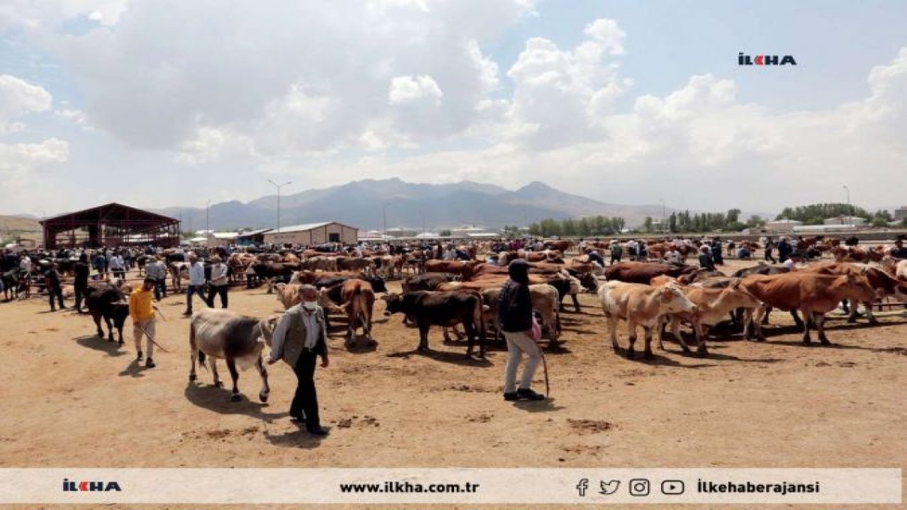 Van'da kurban kesim yerleri belirlendi