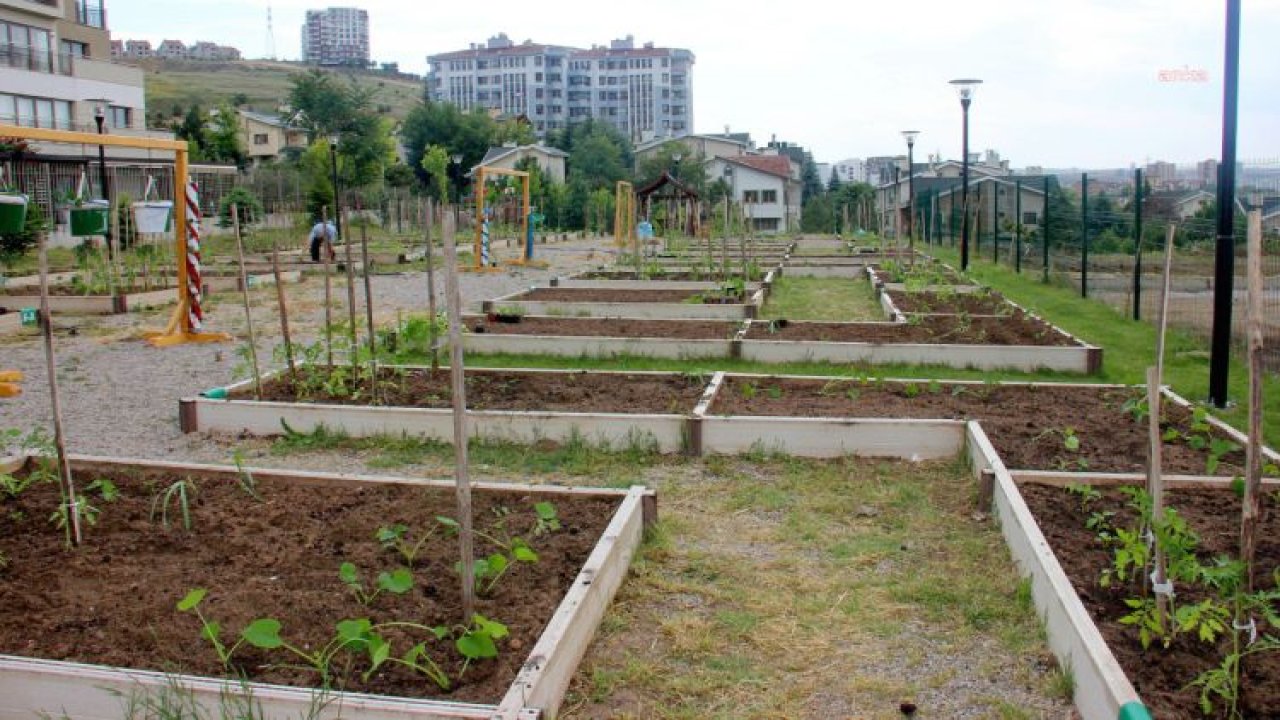 ÇANKAYA BELEDİYESİ KENT TARIM HOBİ EVLERİNDE İLKBAHAR EĞİTİMLERİNE KAYITLAR BAŞLIYOR