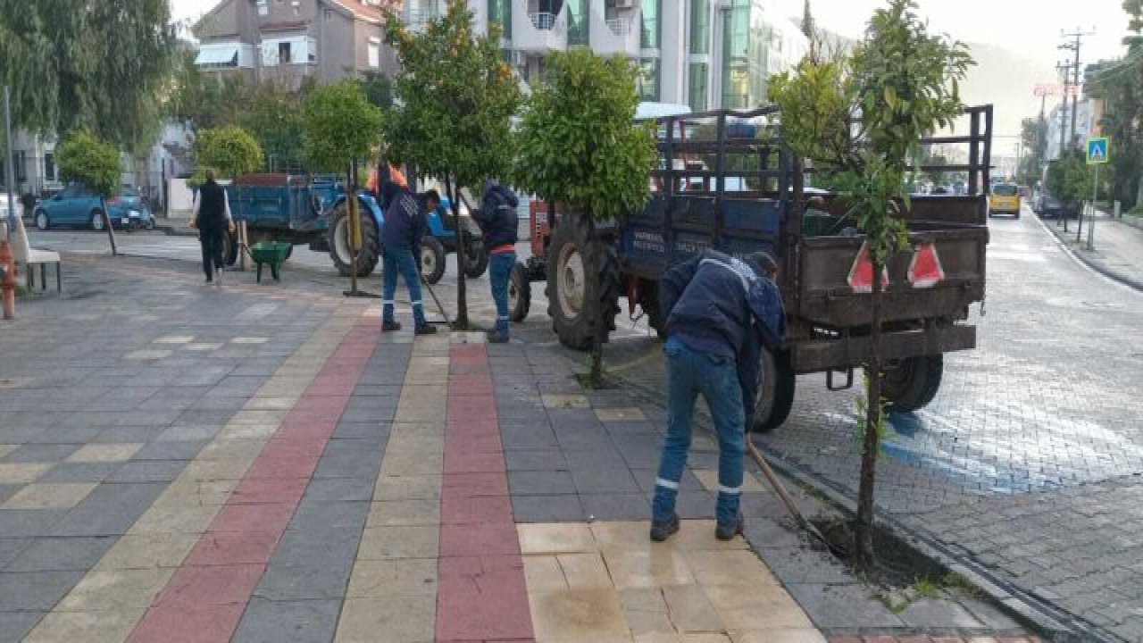 MARMARİS’İN ÇEHRESİ, PARK VE BAHÇELER MÜDÜRLÜĞÜ EKİPLERİNİN ÇALIŞMALARIYLA DEĞİŞİYOR