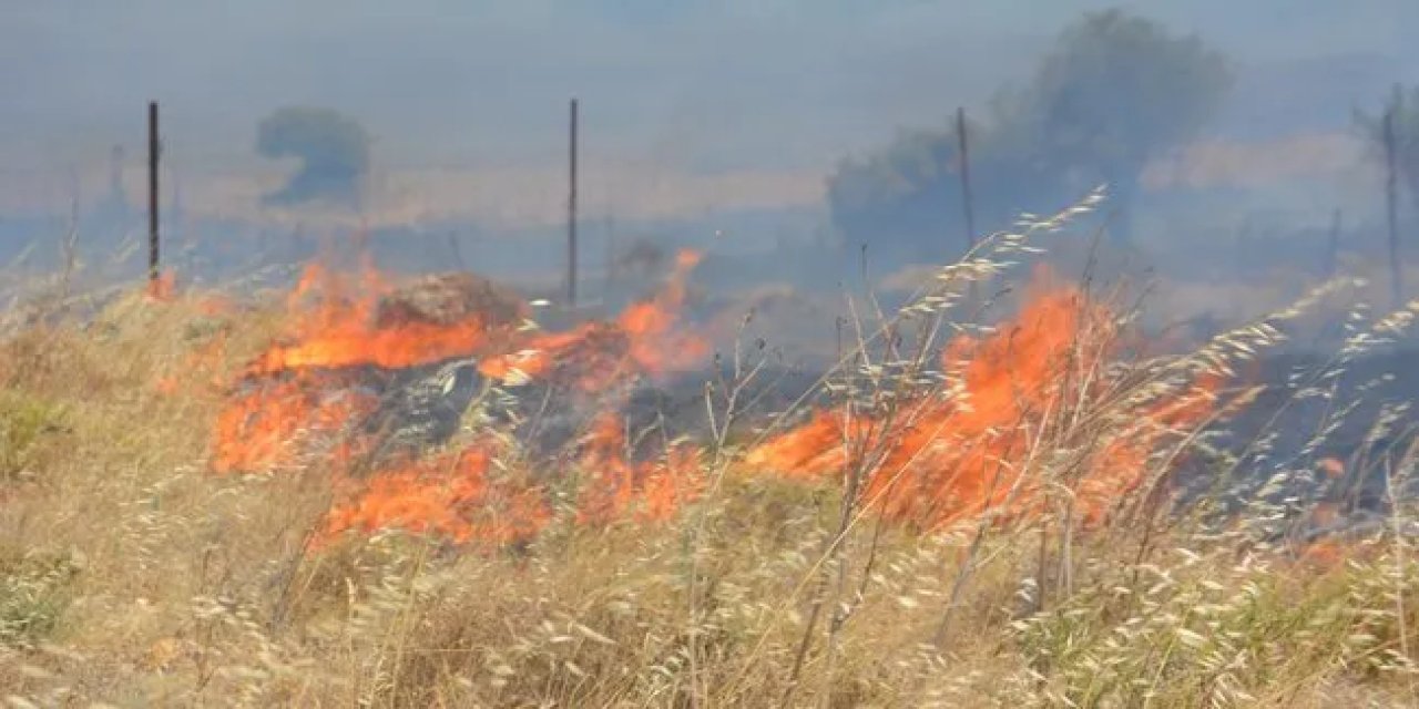 Korku Dolu Anlar! Mersin'de Orman Yangını Çıktı