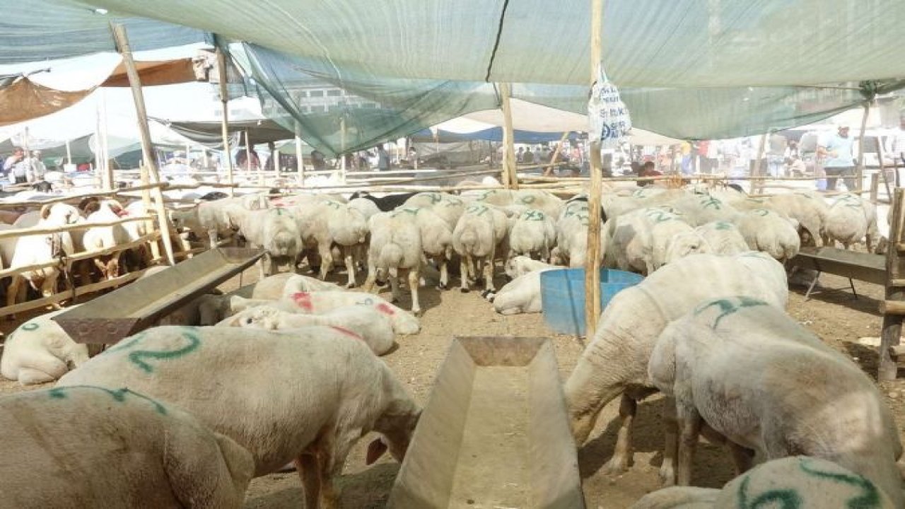 Kurban pazarlarında arefe günü hareketliliği yaşanıyor