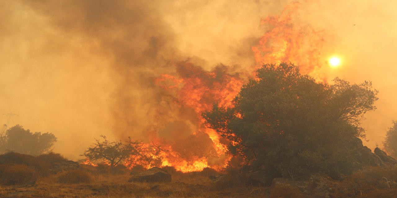 Muğla'da Orman Yangını! Müdahale Devam Ediyor