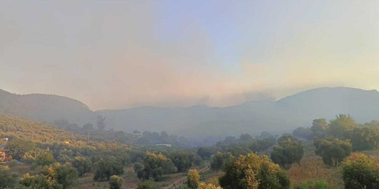 Adana'da Orman Yangını! Havadan ve Karadan Müdahale Sürüyor