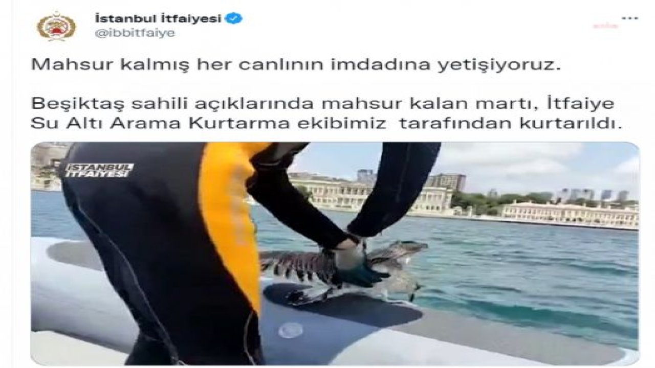 İSTANBUL İTFAİYESİ, BEŞİKTAŞ SAHİLİ AÇIKLARINDA MAHSUR KALAN MARTIYI KURTARDI