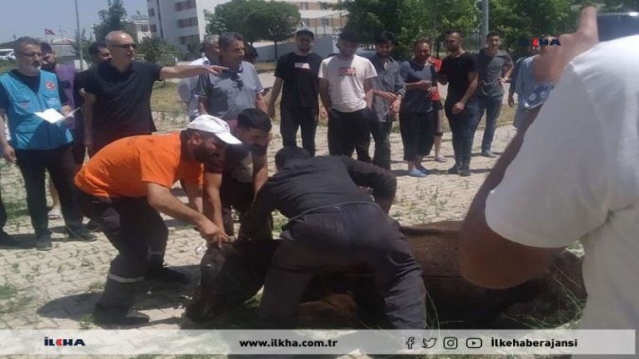 Van'da memleketine gidemeyen öğrenciler için kurban kesildi