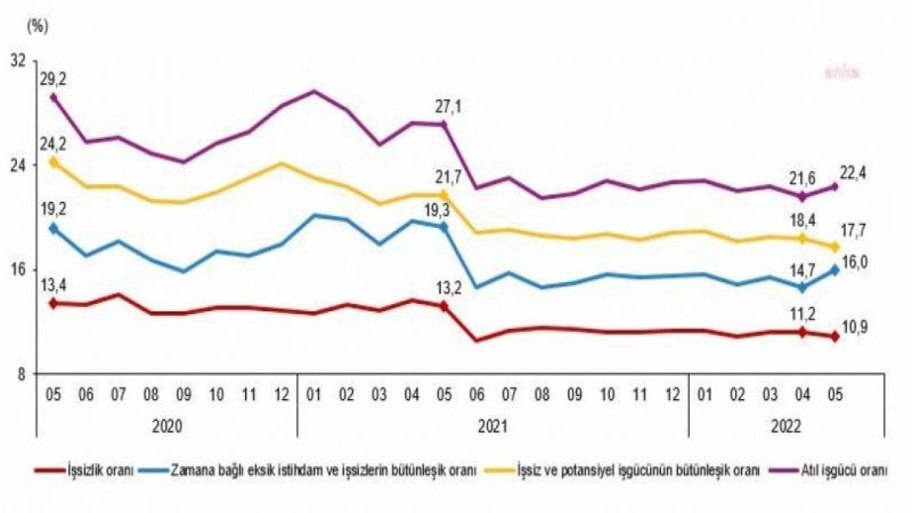 TÜİK: MAYIS AYINDA İŞSİZLİK YÜZDE 10,9 OLDU