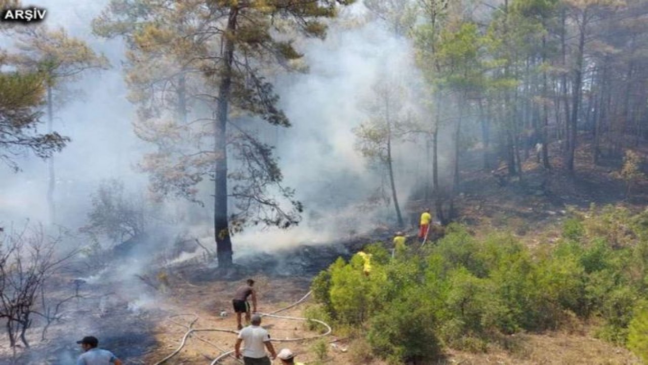 Muğla'da orman yangını