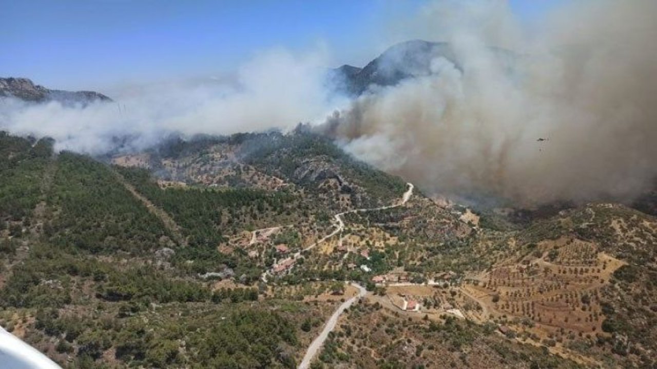 Datça'da çıkan orman yangınının çıkış nedeni belli oldu