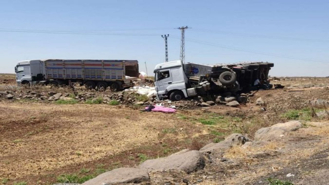 Gübre yüklü TIR devrildi: 1 yaralı