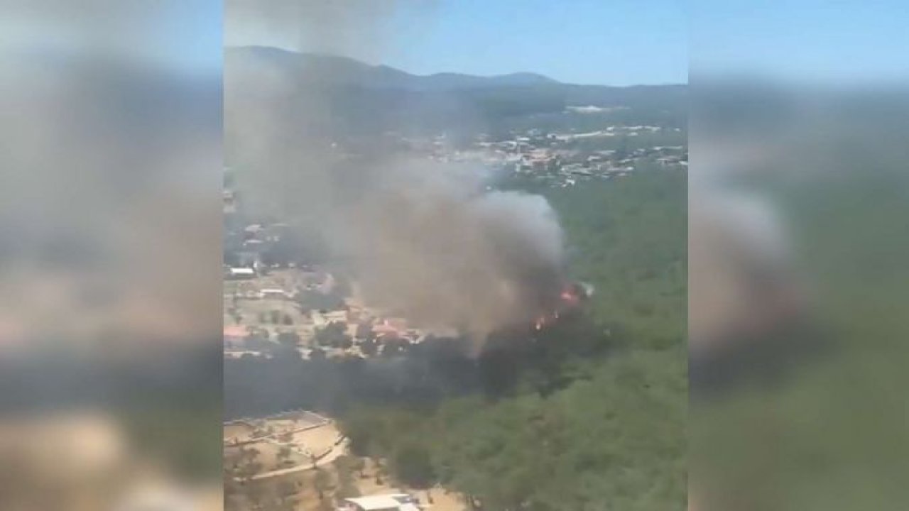 İzmir'de ormanlık alanda çıkan yangın kontrol altına alındı