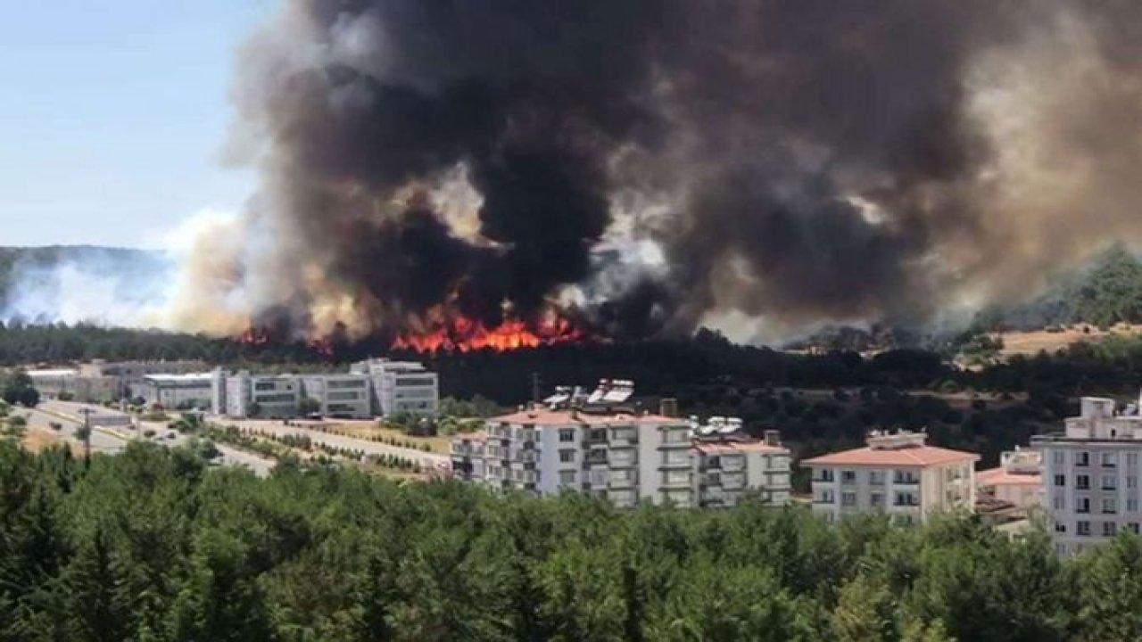 Gaziantep'te ormanda çıkan yangın kontrol altına alındı