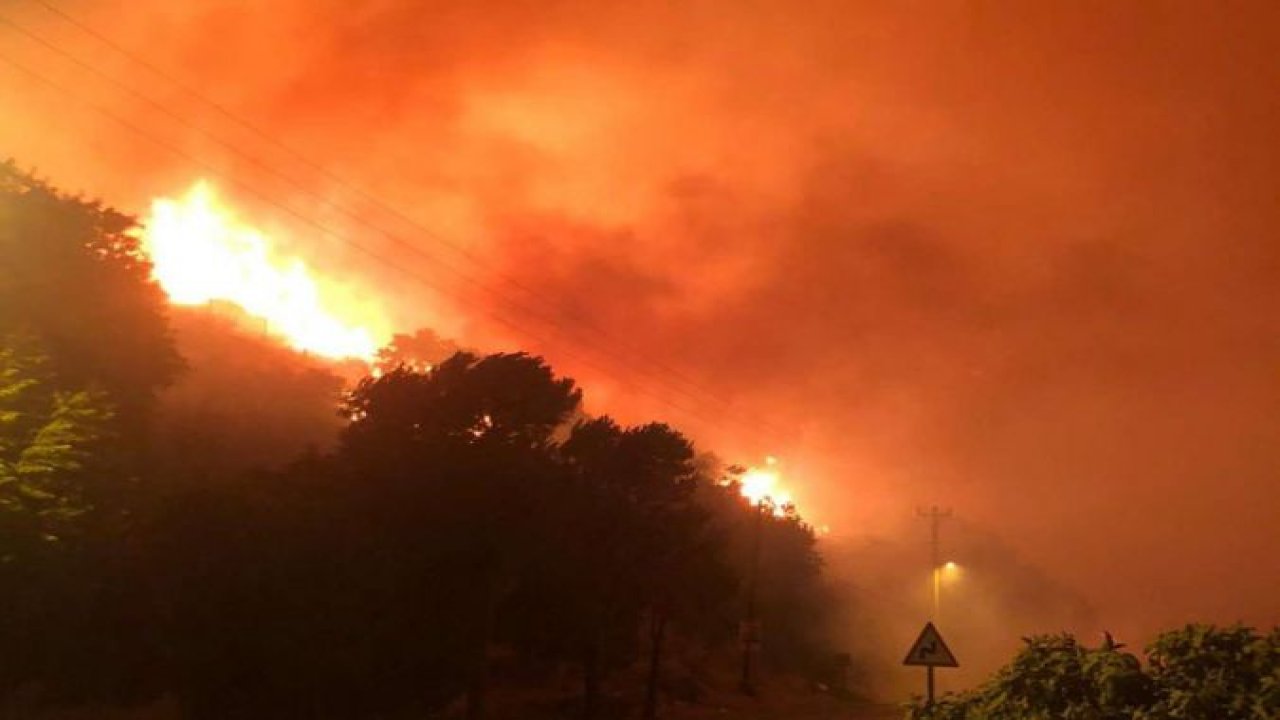 İzmir'de orman yangını