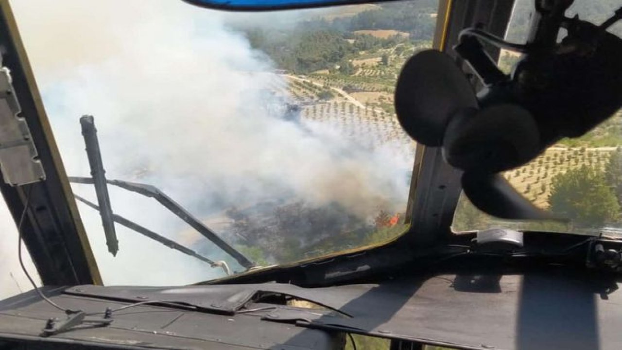 Manisa'da orman yangını:  5 uçak, 8 helikopter görev yapıyor