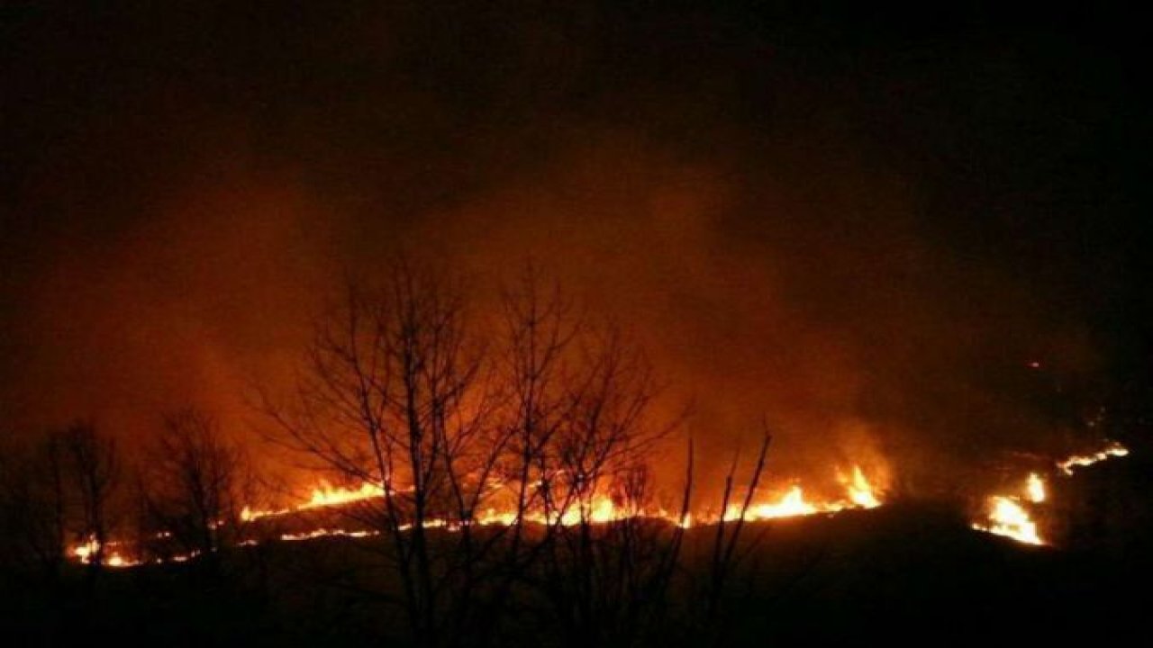 Antalya'da çıkan orman yangını söndürüldü