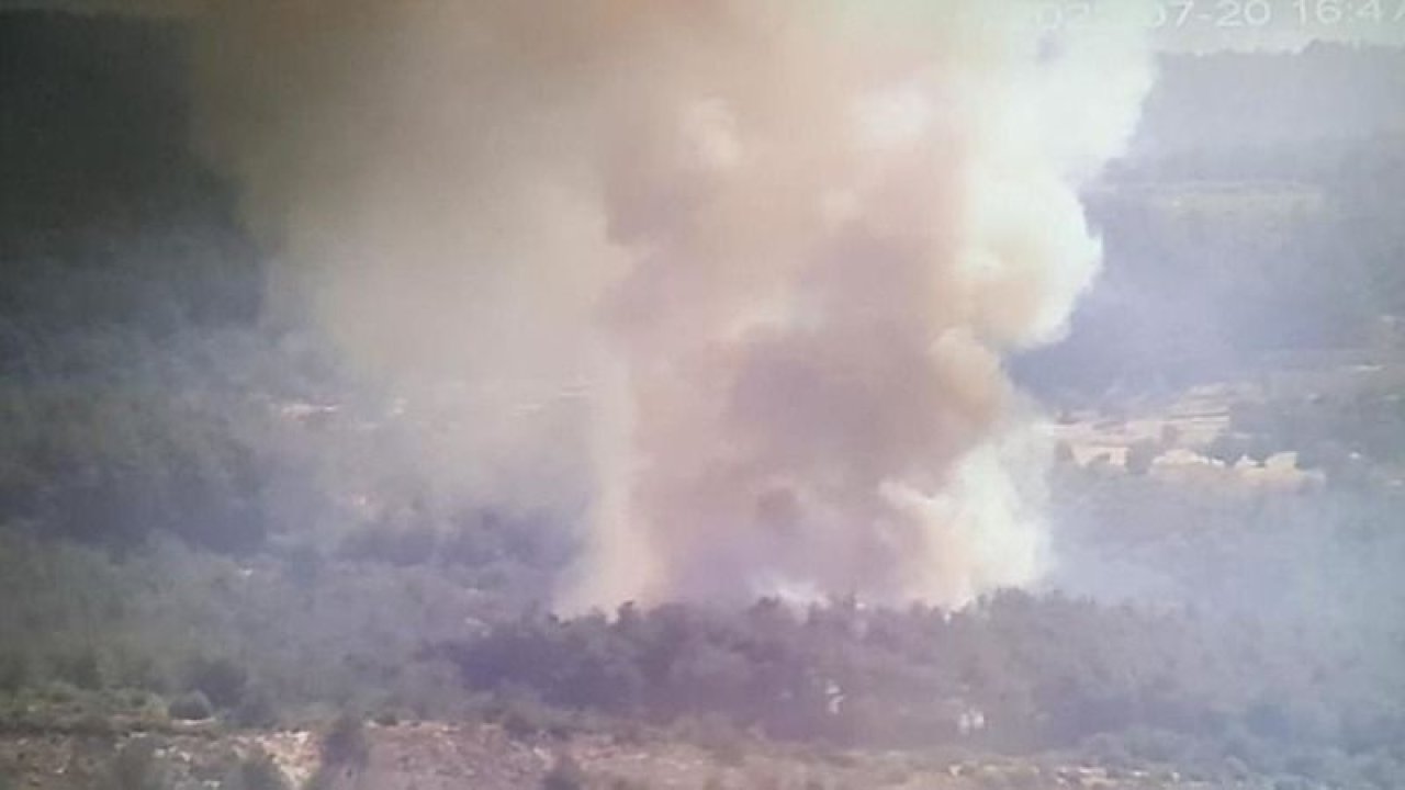 İzmir'de orman yangını paniğe neden oldu