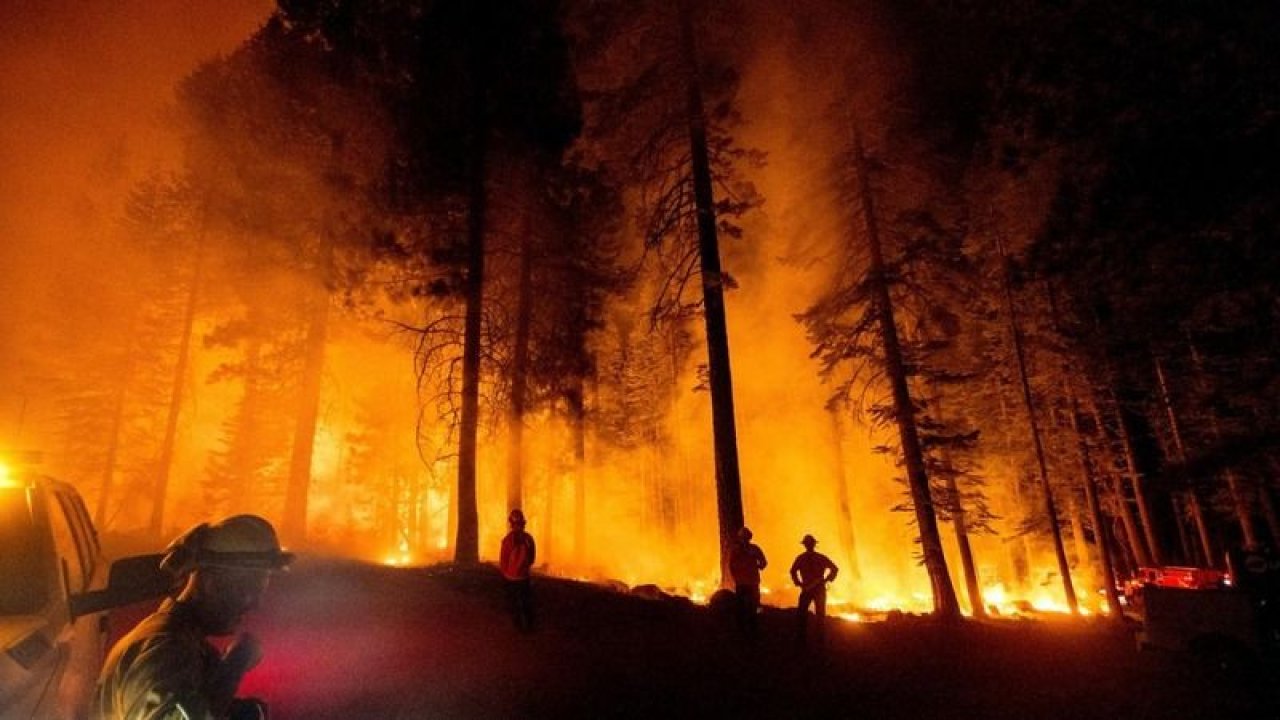 İçişleri Bakanlığı'ndan valiliklere kritik uyarı! Orman yangınları için tedbirler en üst seviyede