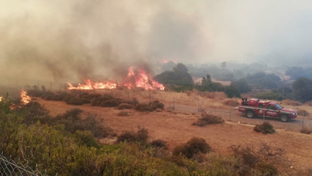 İzmir'in iki ayrı bölgesinde iki ayrı orman yangını paniğe neden oldu