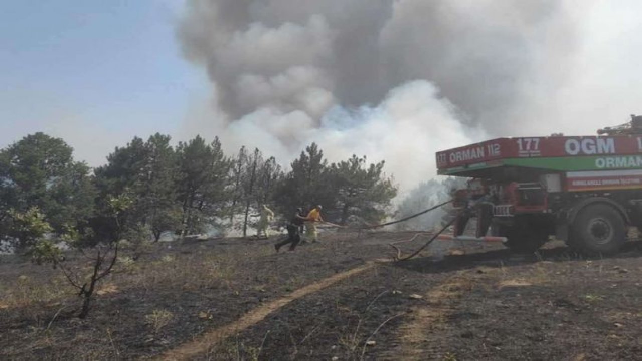 Kırklareli'nde orman yangını