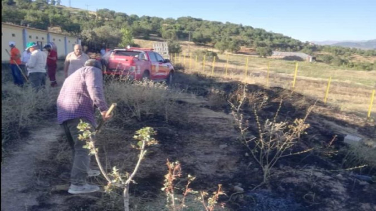 Bingöl'de çıkan yangın büyümeden söndürüldü