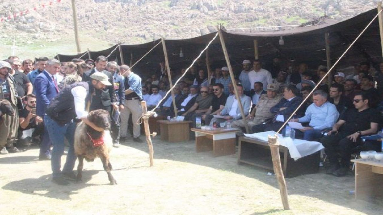 Şırnak’ta geleneksel Kuzu Kırpma Festivali düzenlendi