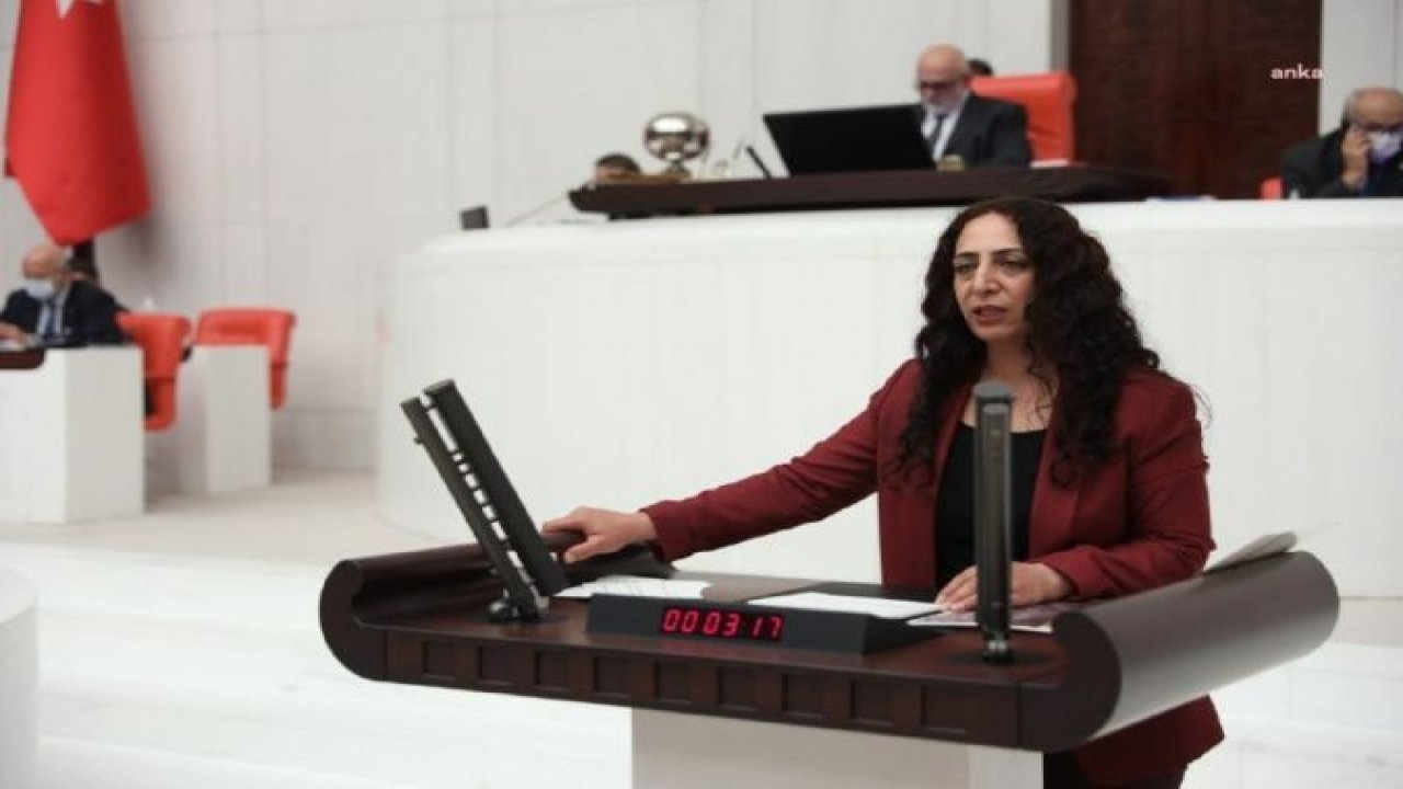 HDP, YAZ AYLARINDAKİ BOĞULMA VAKALARINI TBMM GÜNDEMİNE TAŞIDI