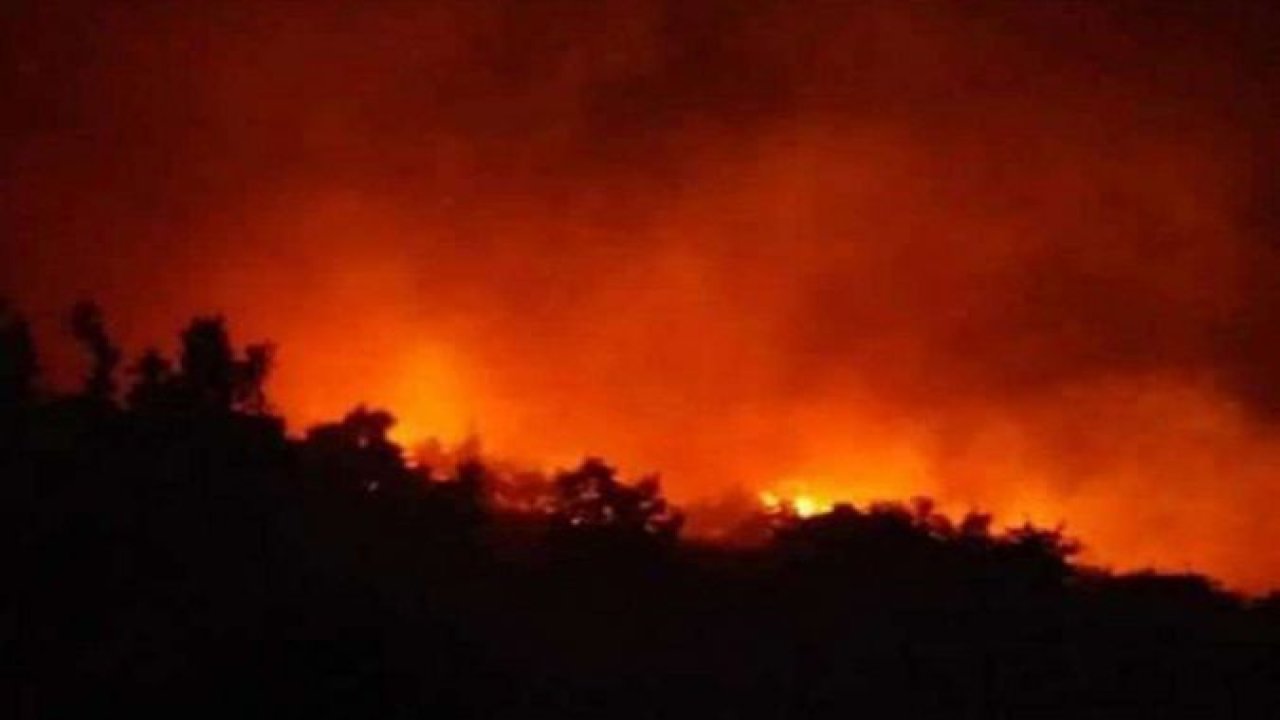 Hatay'daki orman yangını söndürüldü