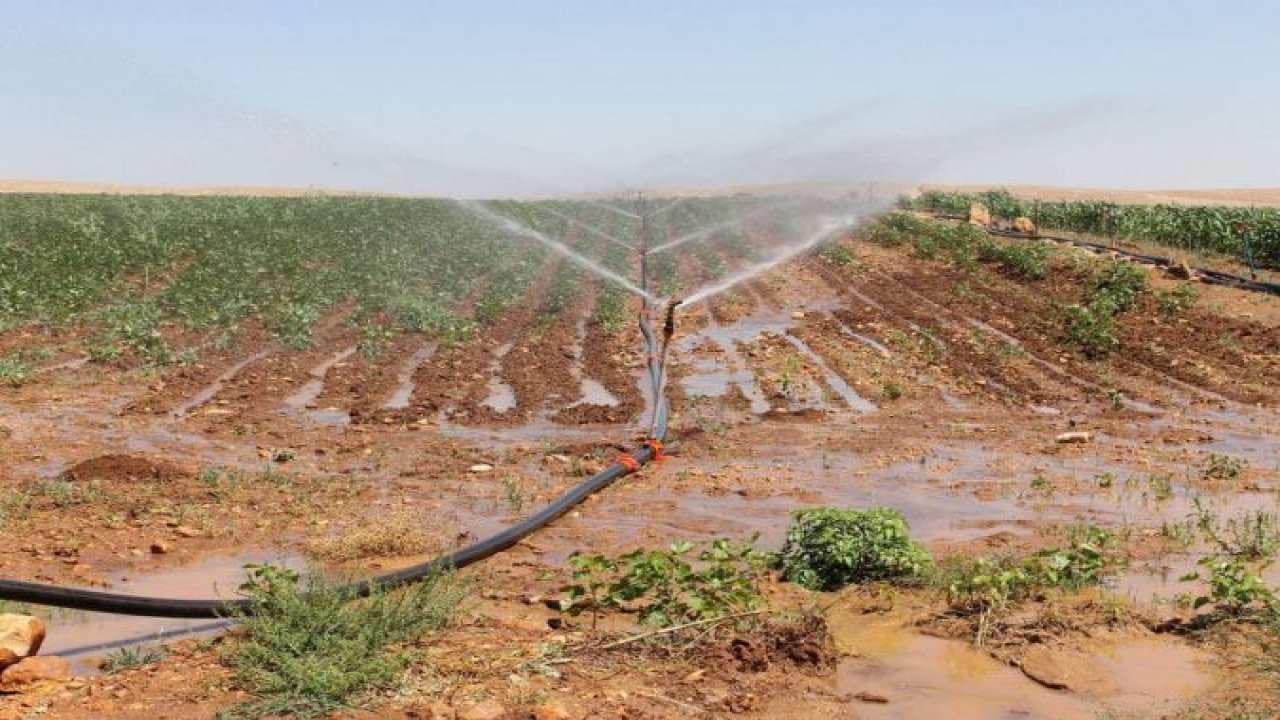 DEDAŞ: Şanlıurfa kırsalında kaçak kullanım oranı yüzde 80