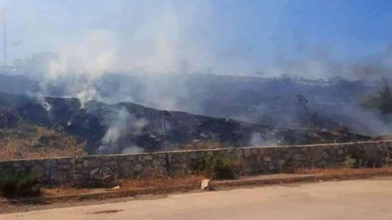 Muğla'da çıkan yangın 3 hektar alanı kül etti