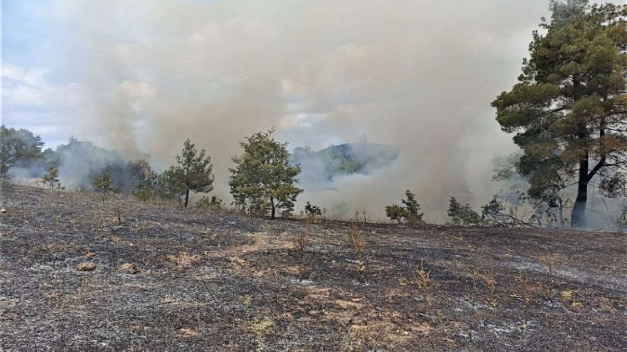 Kütahya'daki orman yangınına havadan ve karadan müdahale ediliyor