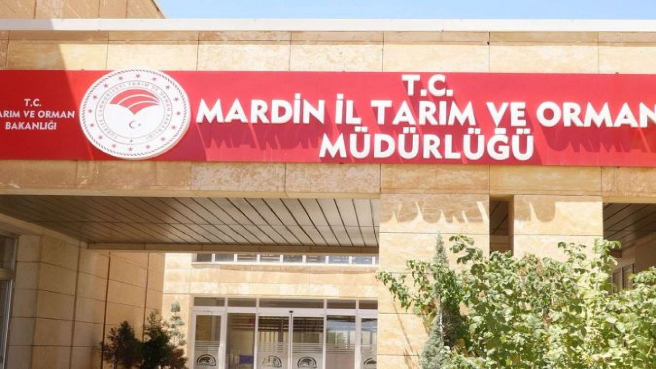 Mardin'de Antep fıstığı yetiştiriciliği tercih ediliyor