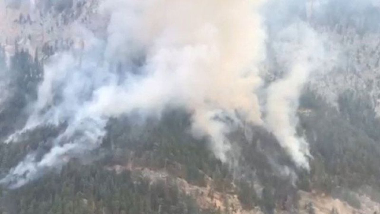 Mersin'deki orman yangını 3 gündür söndürülemiyor